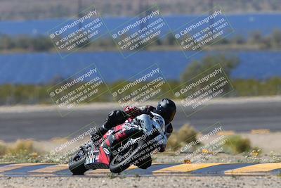 media/Apr-07-2024-CVMA (Sun) [[53b4d90ad0]]/Race 3 Amateur Supersport Middleweight/